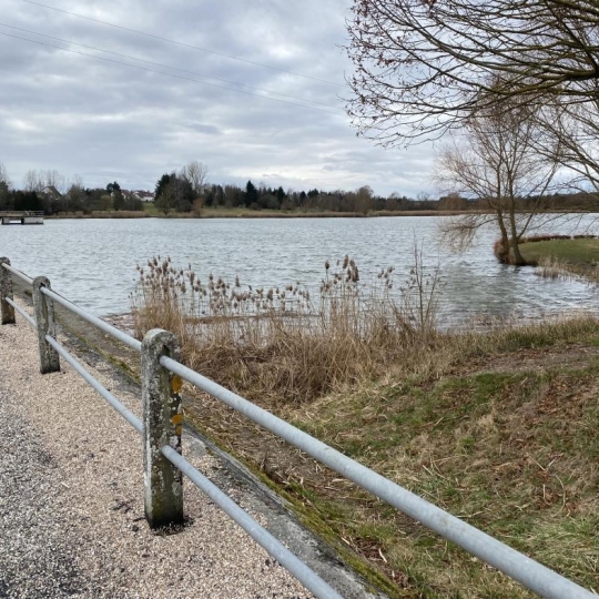 P.B. IMMO : Terrain | HOSTE (57510) | m2 | 8 000 € 