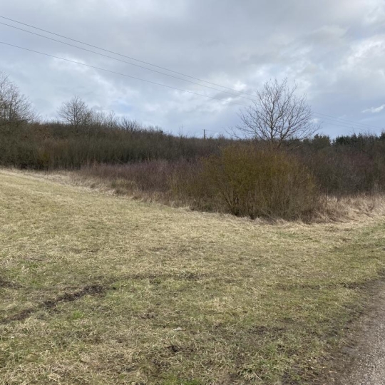  P.B. IMMO : Terrain | HOSTE (57510) | 0 m2 | 8 000 € 