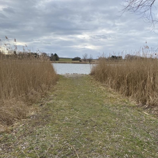  P.B. IMMO : Terrain | HOSTE (57510) | 0 m2 | 8 000 € 