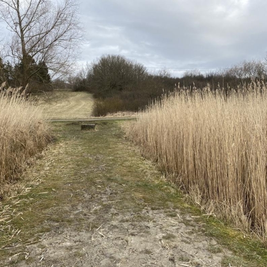  P.B. IMMO : Terrain | HOSTE (57510) | 0 m2 | 8 000 € 