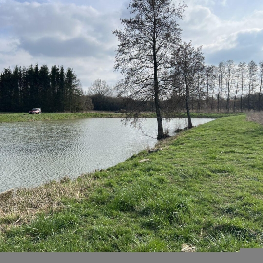  P.B. IMMO : Terrain | HAZEMBOURG (57430) | 0 m2 | 29 000 € 