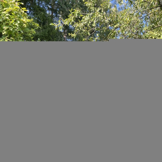  P.B. IMMO : Maison / Villa | HOLVING (57510) | 45 m2 | 60 000 € 