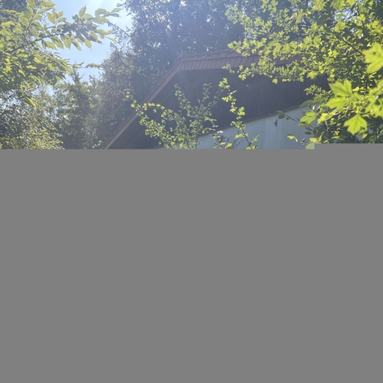  P.B. IMMO : Maison / Villa | HOLVING (57510) | 45 m2 | 60 000 € 