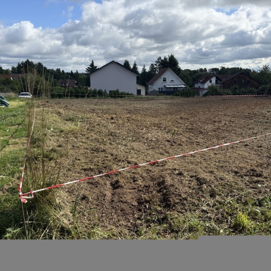  P.B. IMMO : Terrain | HOLVING (57510) | 0 m2 | 29 500 € 