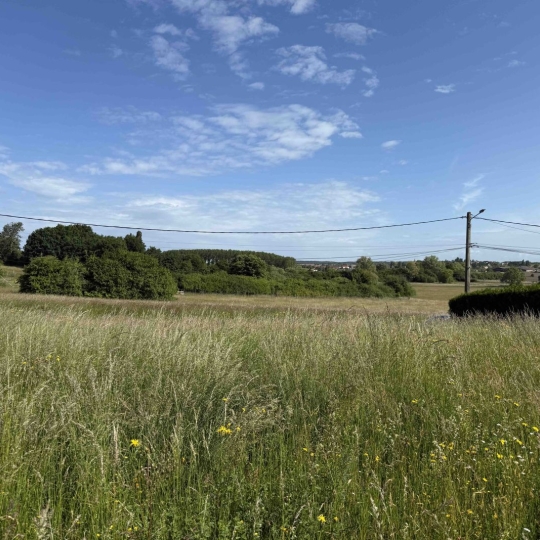  P.B. IMMO : Terrain | HOLVING (57510) | 0 m2 | 99 000 € 