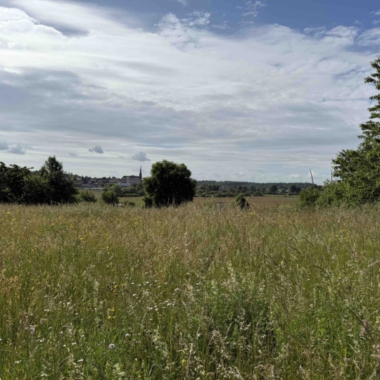  P.B. IMMO : Terrain | HOLVING (57510) | 0 m2 | 99 000 € 