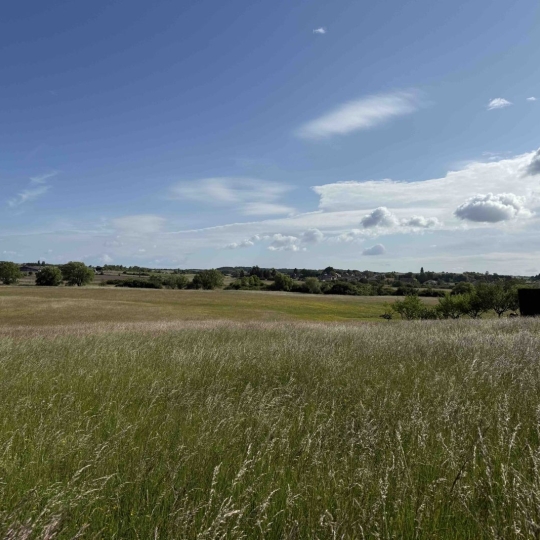  P.B. IMMO : Terrain | HOLVING (57510) | 0 m2 | 53 000 € 