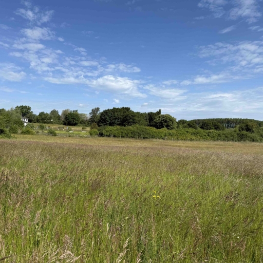  P.B. IMMO : Terrain | HOLVING (57510) | 0 m2 | 53 000 € 