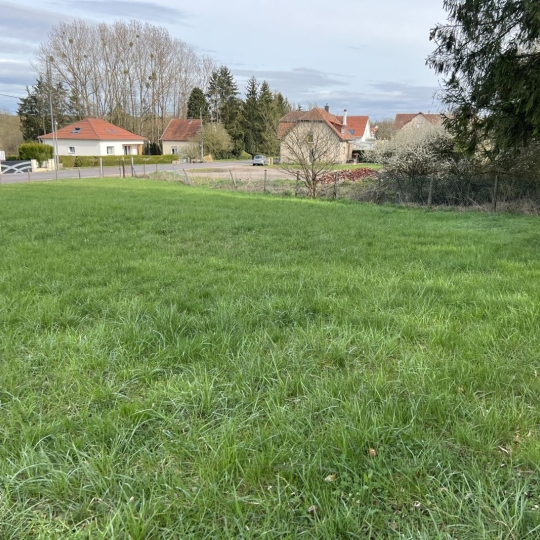  P.B. IMMO : Terrain | PUTTELANGE-AUX-LACS (57510) | 0 m2 | 65 000 € 