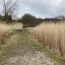  P.B. IMMO : Terrain | HOSTE (57510) | 0 m2 | 8 000 € 