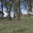  P.B. IMMO : Terrain | HOLVING (57510) | 0 m2 | 520 000 € 