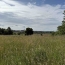  P.B. IMMO : Terrain | HOLVING (57510) | 0 m2 | 99 000 € 