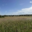  P.B. IMMO : Terrain | HOLVING (57510) | 0 m2 | 53 000 € 