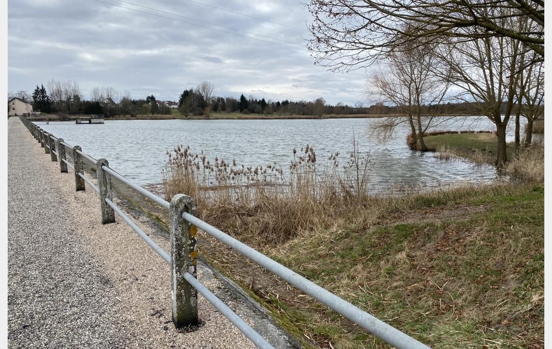 P.B. IMMO : Terrain | HOSTE (57510) | 0 m2 | 8 000 € 