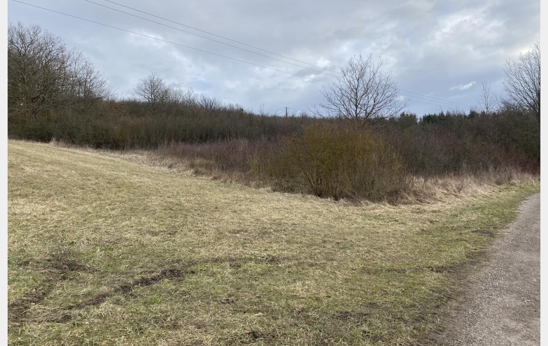P.B. IMMO : Terrain | HOSTE (57510) | 0 m2 | 8 000 € 