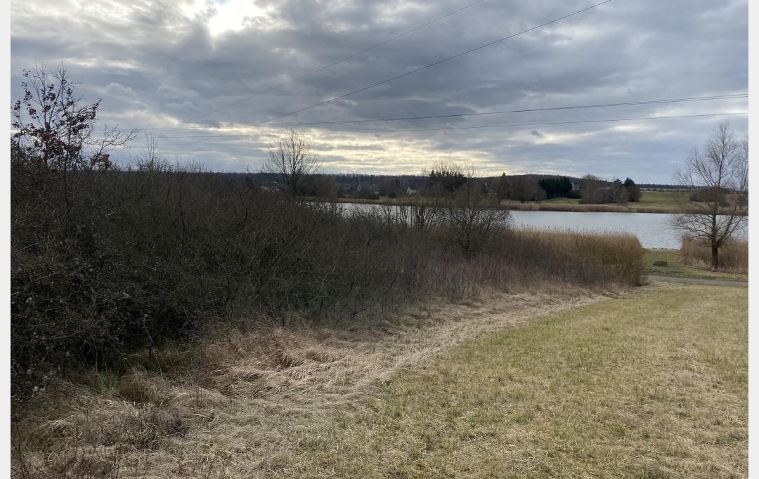 P.B. IMMO : Terrain | HOSTE (57510) | 0 m2 | 8 000 € 