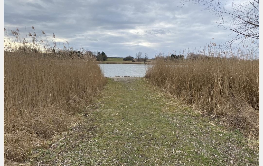 P.B. IMMO : Terrain | HOSTE (57510) | 0 m2 | 8 000 € 
