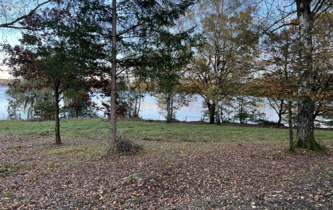 P.B. IMMO : Terrain | HOLVING (57510) | 0 m2 | 520 000 € 