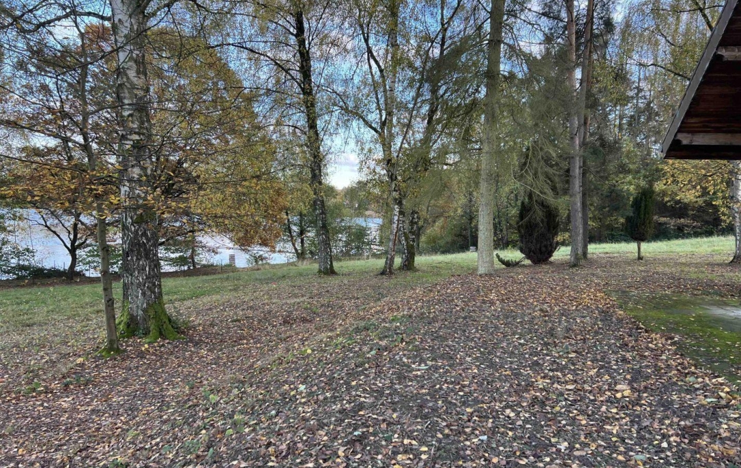 P.B. IMMO : Terrain | HOLVING (57510) | 0 m2 | 520 000 € 