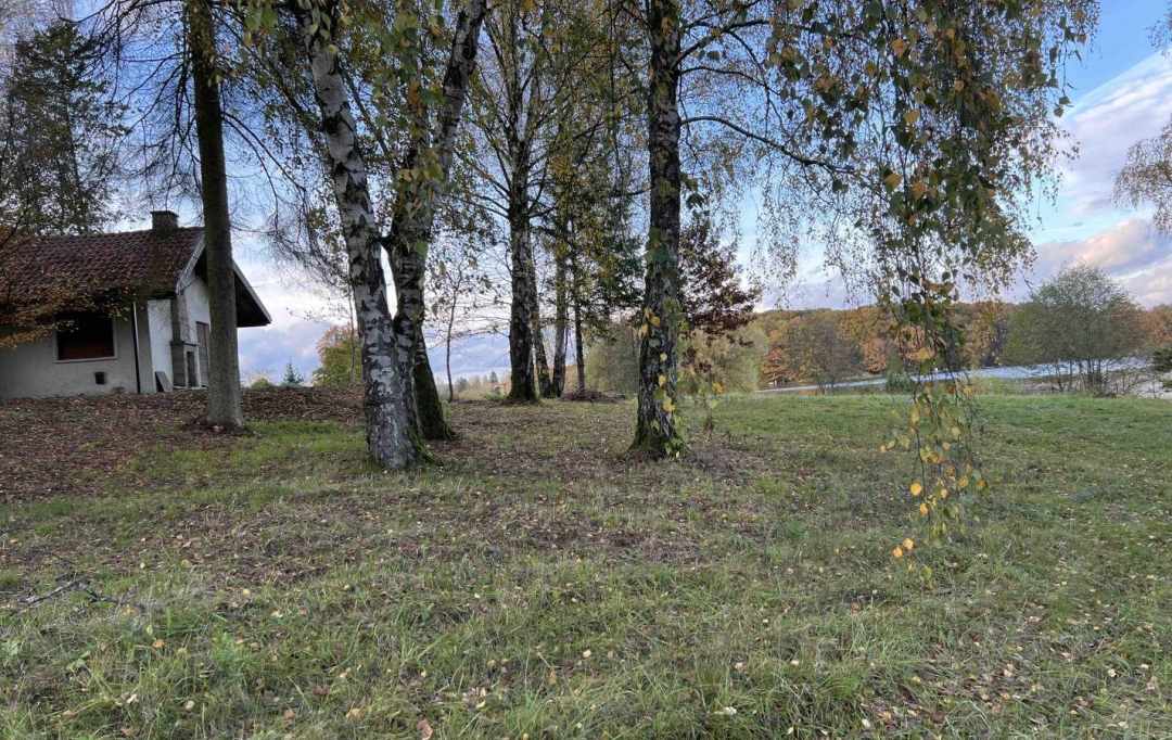 P.B. IMMO : Terrain | HOLVING (57510) | 0 m2 | 520 000 € 