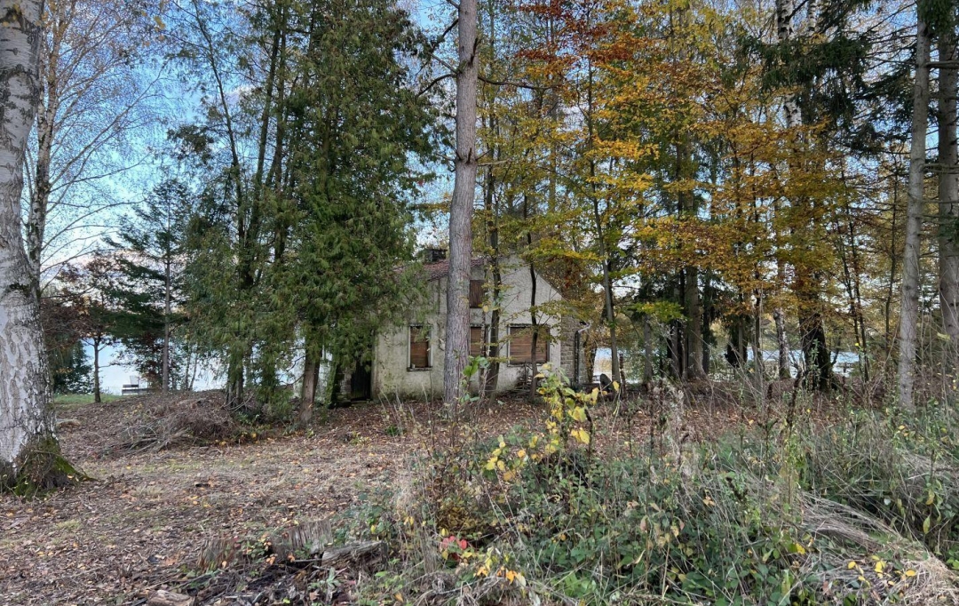 P.B. IMMO : Terrain | HOLVING (57510) | 0 m2 | 520 000 € 