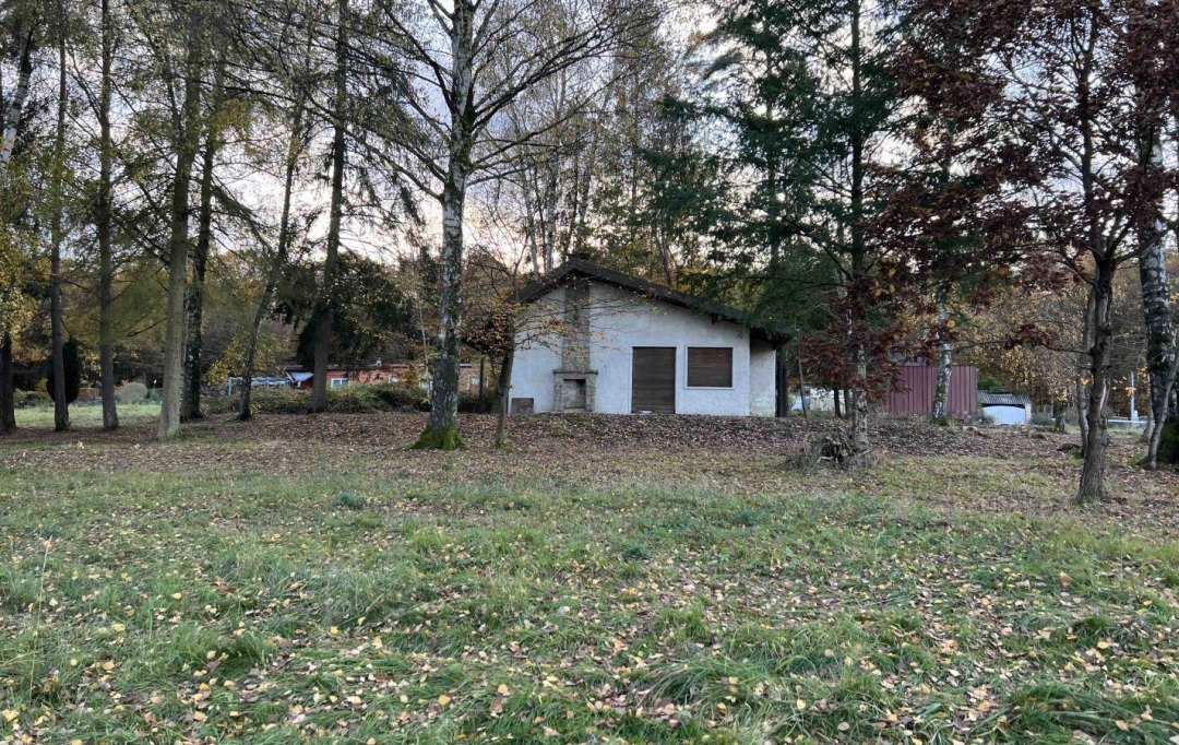 P.B. IMMO : Terrain | HOLVING (57510) | 0 m2 | 520 000 € 