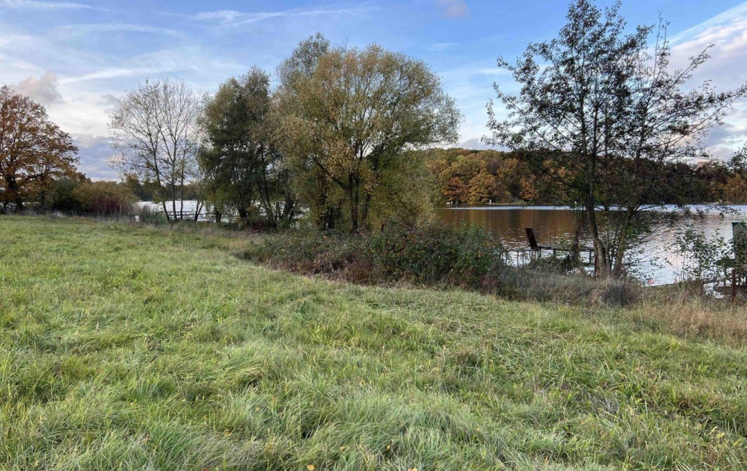 P.B. IMMO : Terrain | HOLVING (57510) | 0 m2 | 520 000 € 