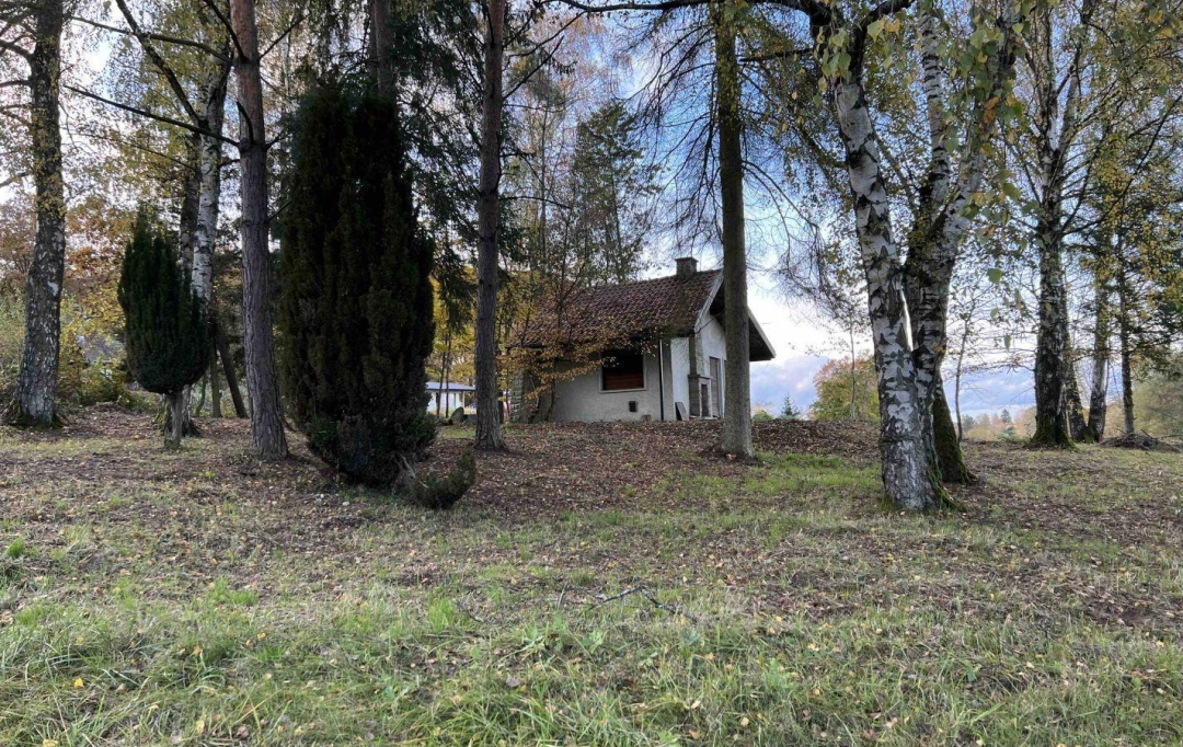 P.B. IMMO : Terrain | HOLVING (57510) | 0 m2 | 520 000 € 
