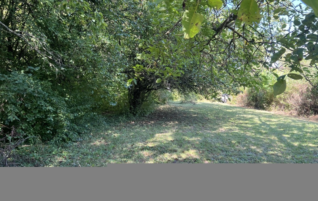 P.B. IMMO : Maison / Villa | HOLVING (57510) | 45 m2 | 60 000 € 