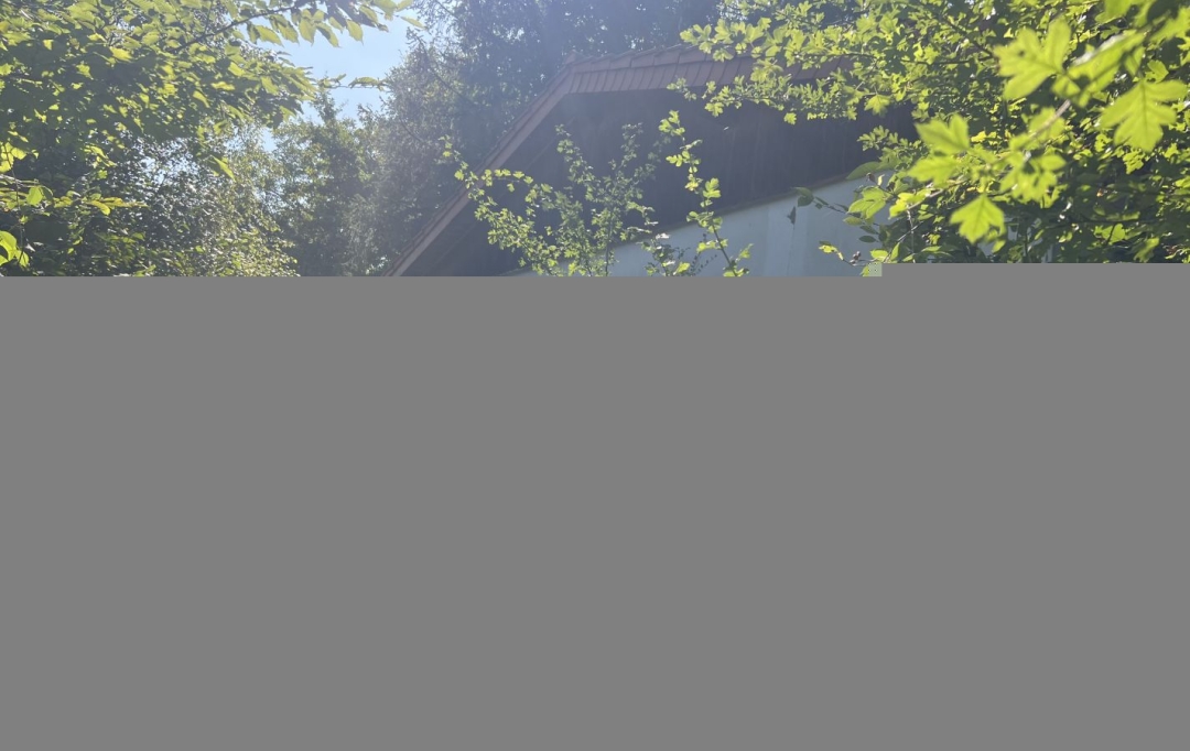 P.B. IMMO : Maison / Villa | HOLVING (57510) | 45 m2 | 60 000 € 