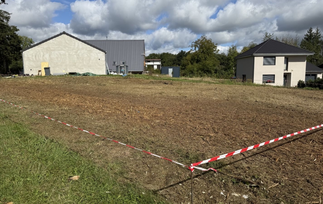 P.B. IMMO : Terrain | HOLVING (57510) | 0 m2 | 29 500 € 