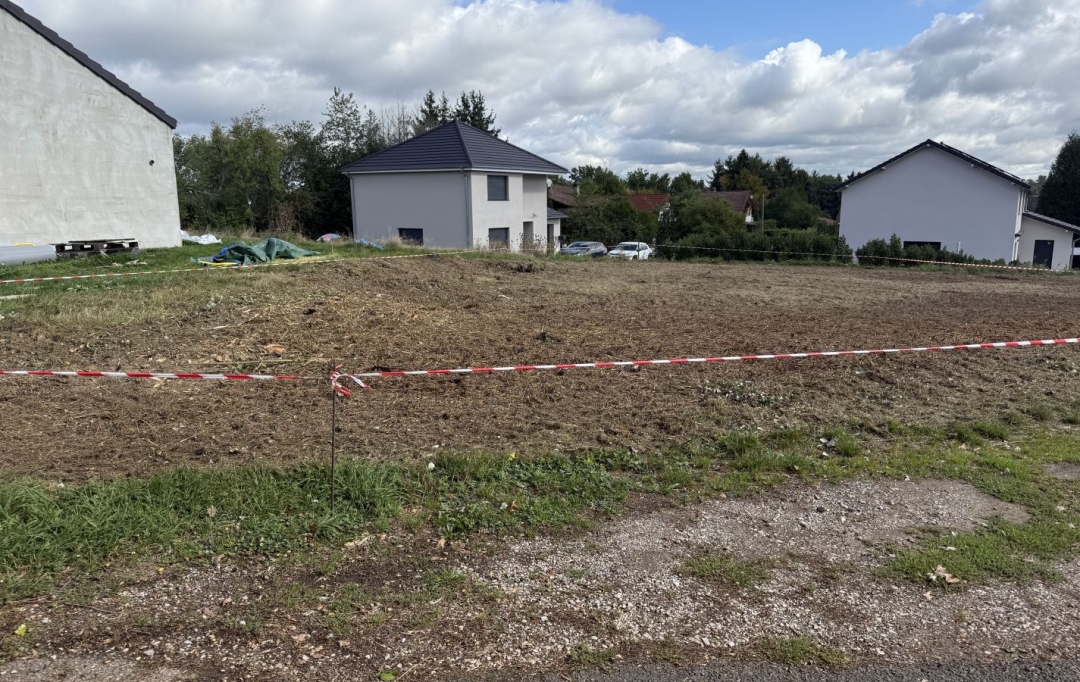 P.B. IMMO : Terrain | HOLVING (57510) | 0 m2 | 29 500 € 