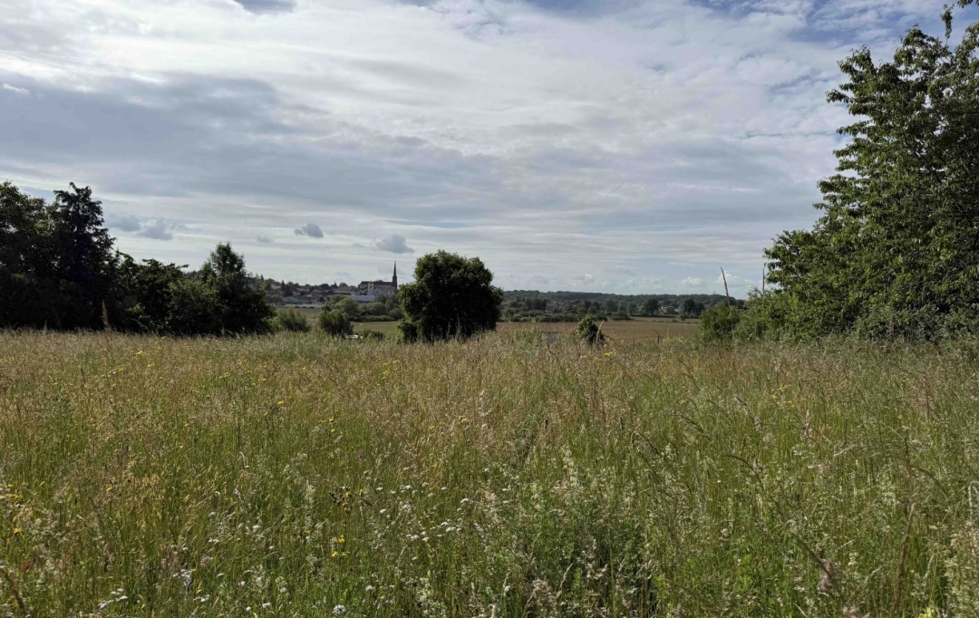 P.B. IMMO : Terrain | HOLVING (57510) | 0 m2 | 99 000 € 