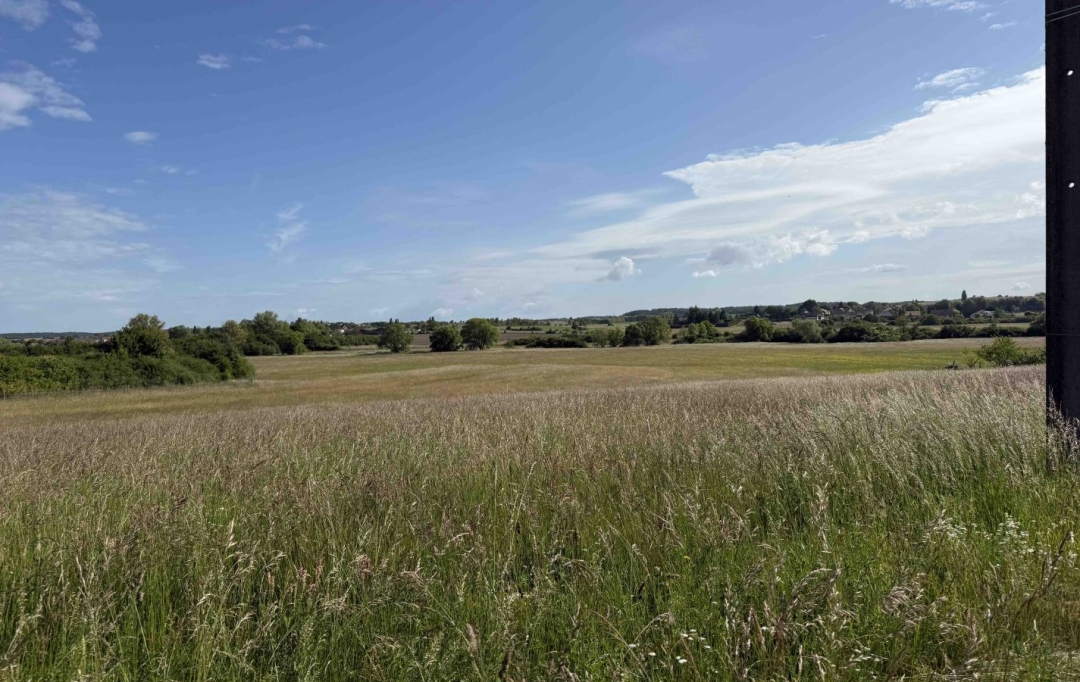 P.B. IMMO : Terrain | HOLVING (57510) | 0 m2 | 53 000 € 