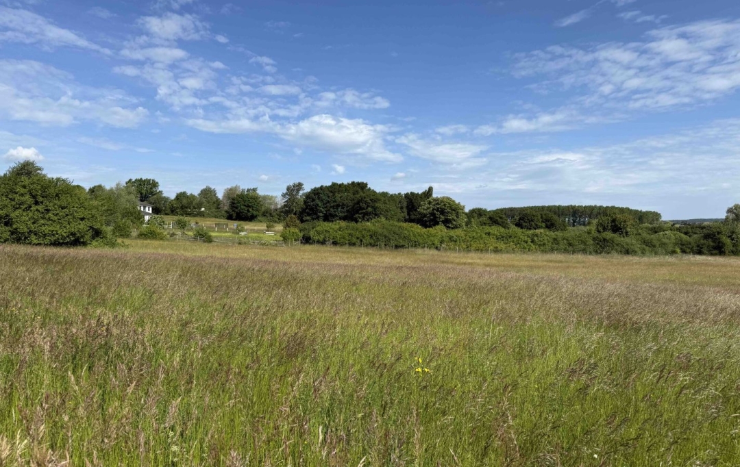 P.B. IMMO : Terrain | HOLVING (57510) | 0 m2 | 53 000 € 