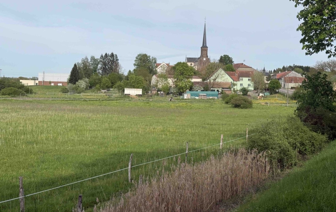 P.B. IMMO : Domain / Estate | HOLVING (57510) | 249 m2 | 580 000 &euro; 