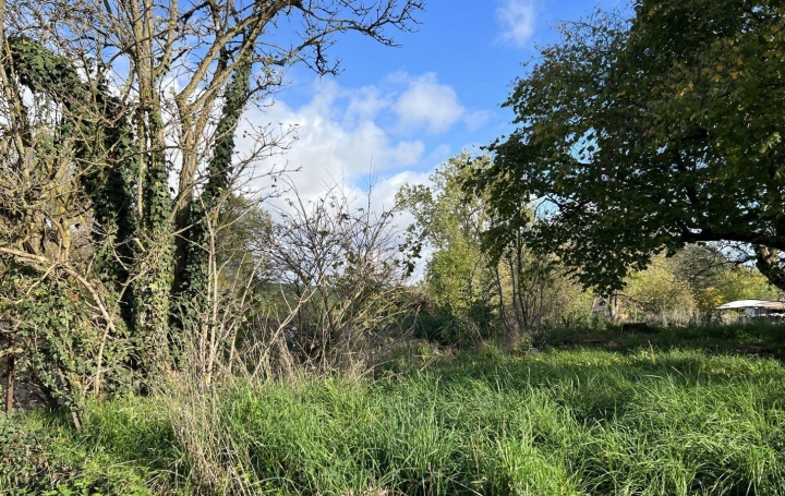  P.B. IMMO Terrain | VIBERSVILLER (57670) | 0 m2 | 26 500 € 