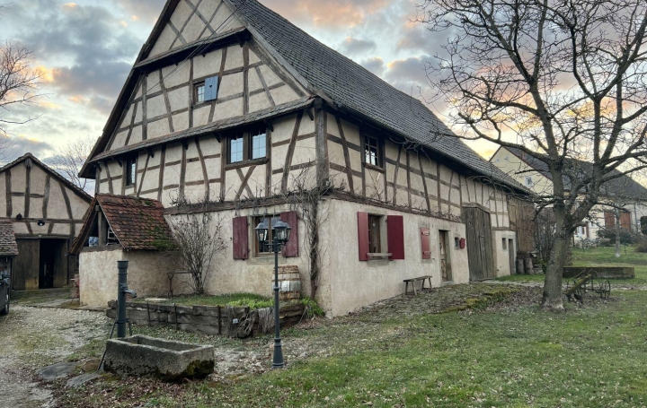 Maison INSVILLER 160 m2 223 600 € Maison INSVILLER 160 m2 223 600 €