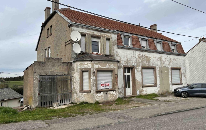 Immeuble SARRALBE 298 m2 89 000 € Immeuble SARRALBE 298 m2 89 000 €