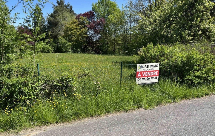  P.B. IMMO Terrain | HILSPRICH (57510) | 582 m2 | 29 500 € 