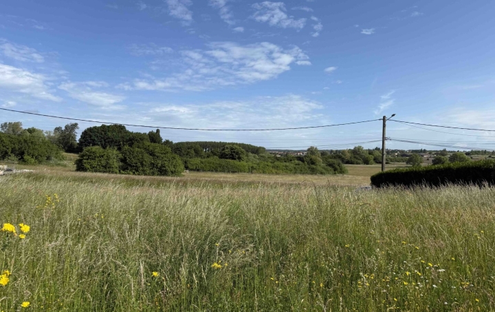  P.B. IMMO Terrain | HOLVING (57510) | 0 m2 | 99 000 € 