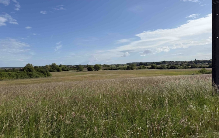  P.B. IMMO Terrain | HOLVING (57510) | 0 m2 | 53 000 € 