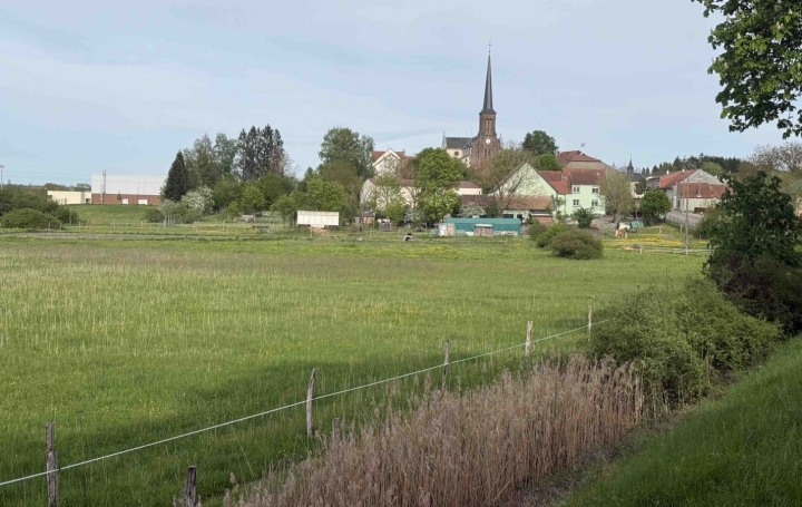  P.B. IMMO Domaines / Propriétés | HOLVING (57510) | 249 m2 | 580 000 € 